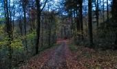 Excursión Bici de montaña Virton - T2022-11-27-17-41 - Photo 4