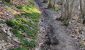 Tocht Stappen Wezet - A travers les bois et étangs de la julienne 🥾 - Photo 8