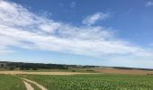 Trail Walking Havelange - Verlée, Buzin, Jeneffe, Verlée  - Photo 2