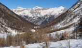 Tocht Sneeuwschoenen Puy-Saint-Vincent - le vallon de Narreyroux - Photo 1