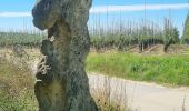 Percorso Bicicletta elettrica Gand - Vlaamse Ardennen - Photo 6