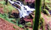 Excursión Senderismo Donamaria - SityTrail - Cascades du Txaruta depuis Donamaría (Navarre ) M Wikiloc. - Photo 8