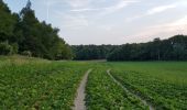 Tocht Stappen Moulin-sous-Touvent - Moulin sous touvant - Photo 3