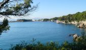 Percorso A piedi Antibes - Tour du Cap d'Antibes - Photo 4