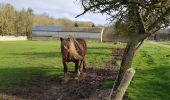 Tour Wandern Vesly - Vesly, Nainville, Le Chêne, Gisancourt, Dangu, Noyers - Photo 1