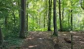 Trail Walking Voeren - A la dÃ©couverte de De Planck avec Koda ð¥¾ð - Photo 4