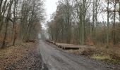 Trail On foot Unknown - Rundwanderweg - Photo 9