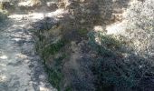 Trail Walking Bédarrides - Bedarrides sur les hauteurs - Photo 3