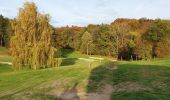 Tocht Stappen Waver - Bawette - Hosté - Wavre - Photo 2