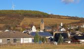 Trail On foot Mechernich - Kall 1 - Photo 5