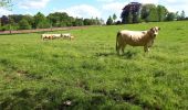 Trail Walking Écaussinnes - ecaussines francis - Photo 17