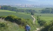 Tour Wandern Pamplona/Iruña - 2024 Camino Frances Etape 1 - Photo 10