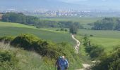 Tocht Stappen Pamplona/Iruña - 2024 Camino Frances Etape 1 - Photo 10