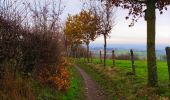 Trail Walking Aubel - Balade de Saint-Jean-Sart   - Photo 3