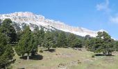 Randonnée Marche Châtillon-en-Diois - Vallée de Combau - TêteChevalière - Photo 8