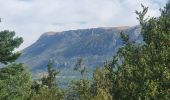 Randonnée Marche La Palud-sur-Verdon - 01-08-2023 Tour Cime de Bardin  - Photo 1