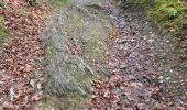 Trail Walking Houffalize - Achouffe 12 Km - Photo 3