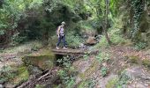 Trail Walking Lyas - Lyas  la Neuve  azur - Photo 11