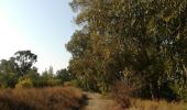 Excursión Senderismo Δήμος Αγλαντζιάς - athalassa/ chemins de traverses - Photo 3