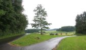 Tour Zu Fuß Bad Endbach - Wanderweg E12 / Bottenhorner Heide - Photo 6