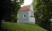 Tour Zu Fuß Unbekannt - Naturerlebnispfad Nikolaitor - Photo 3