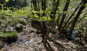 Trail Walking Loubaresse - Loubaresse ruisseau de goutelles 10 km - Photo 2
