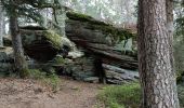 Trail Walking Sainte-Marie-aux-Mines - taenichel - Photo 6