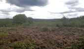 Randonnée Marche Esneux - à travers les bois d Anthines et d Esneux - Photo 10