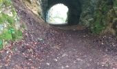 Tocht Stappen Villers-le-Lac - barrage chatelot saut du doubs le pissoux - Photo 11