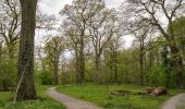 Trail On foot Lemgo - Rundwanderweg A2 [Lemgoer Mark] - Photo 1