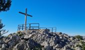 Tour Wandern Toulon - Le Faron centre  - Photo 12