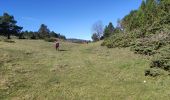 Trail Walking Prades - Prades col de la Gardie - Photo 4