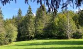 Tocht Stappen Saint-Agnan-en-Vercors - Rocher du mas (vercors) - Photo 2