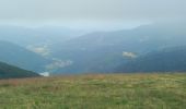 Trail Walking Sewen - Circuit lac d'alfeld / ballon d'Alsace  - Photo 5