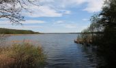 Tour Zu Fuß Am Mellensee - Mellenseer Heideweg - Photo 9