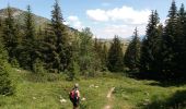 Trail Walking Glières-Val-de-Borne - BARGY: CENISE - ROCHERS DE LESCHAUX - SOLAISON - COL DE CENISE - Photo 9