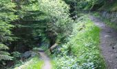 Trail Walking Cauterets - Plateau du Lisey - Photo 7