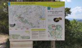 Tour Wandern Saint-Remèze - Ballade Bivouac de Gaud (Ardèche) - Photo 2