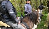 Trail Horseback riding Bastogne - Tripoux mai 2023 2 - Photo 8