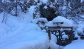 Tocht Sneeuwschoenen Orsières - Champex Lac - Arpette - Champex Lac - Photo 1