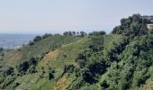 Tour Wandern Carrara - CR_Francigena_CI_32_Carrare-Avenza_Massa_20220615 - Photo 7