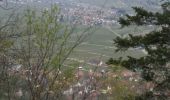 Randonnée Marche Gueberschwihr - Promenade circulaire Kuckuckstei - Photo 6