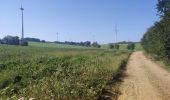 Trail Walking Halen - Loksbergen - Photo 10