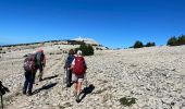 Trail Walking Bédoin - Le Mont Ventoux depuis Bédoin  - Photo 9