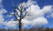 Tour Wandern Dinant - CONDROZ: LIROUX-CONJOUX-CORBION-CONNEUX-LIROUX - Photo 4