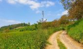 Trail Walking Braives - De Fumal à Huccorgne par la vallée de la Mehaigne - Photo 13