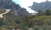 Excursión Senderismo Hyères - Les calanques titou Ninou les 3 arches - Photo 1