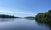 Excursión Senderismo Royère-de-Vassivière - Boucle du Lac de Vassivière - Photo 3