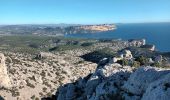 Tocht Stappen Marseille - Calanques, cirque des Pételins-08-11-2023 - Photo 10