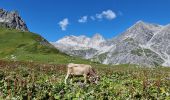 Tour Wandern Gemeinde Vandans - Lünersee-Gafalljoch-Gamsluggen-Totalphütte (PVDB) - Photo 3